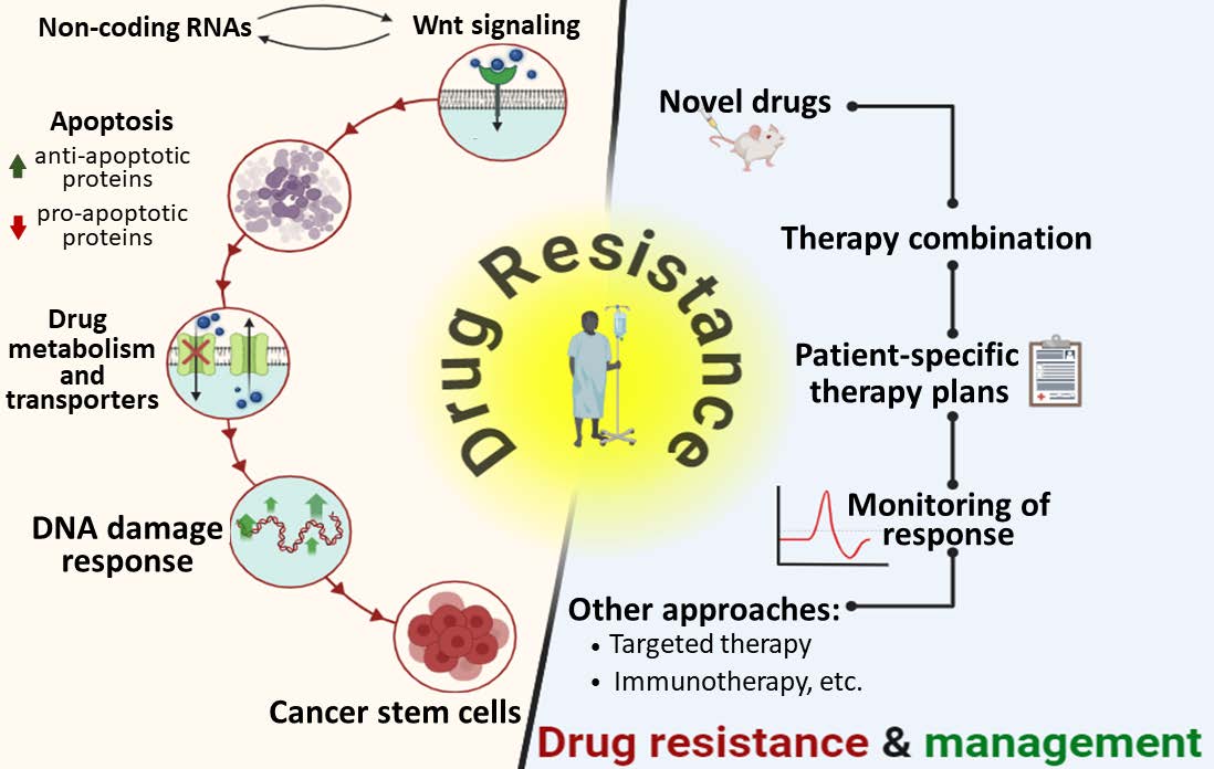 Graphical Abstract
