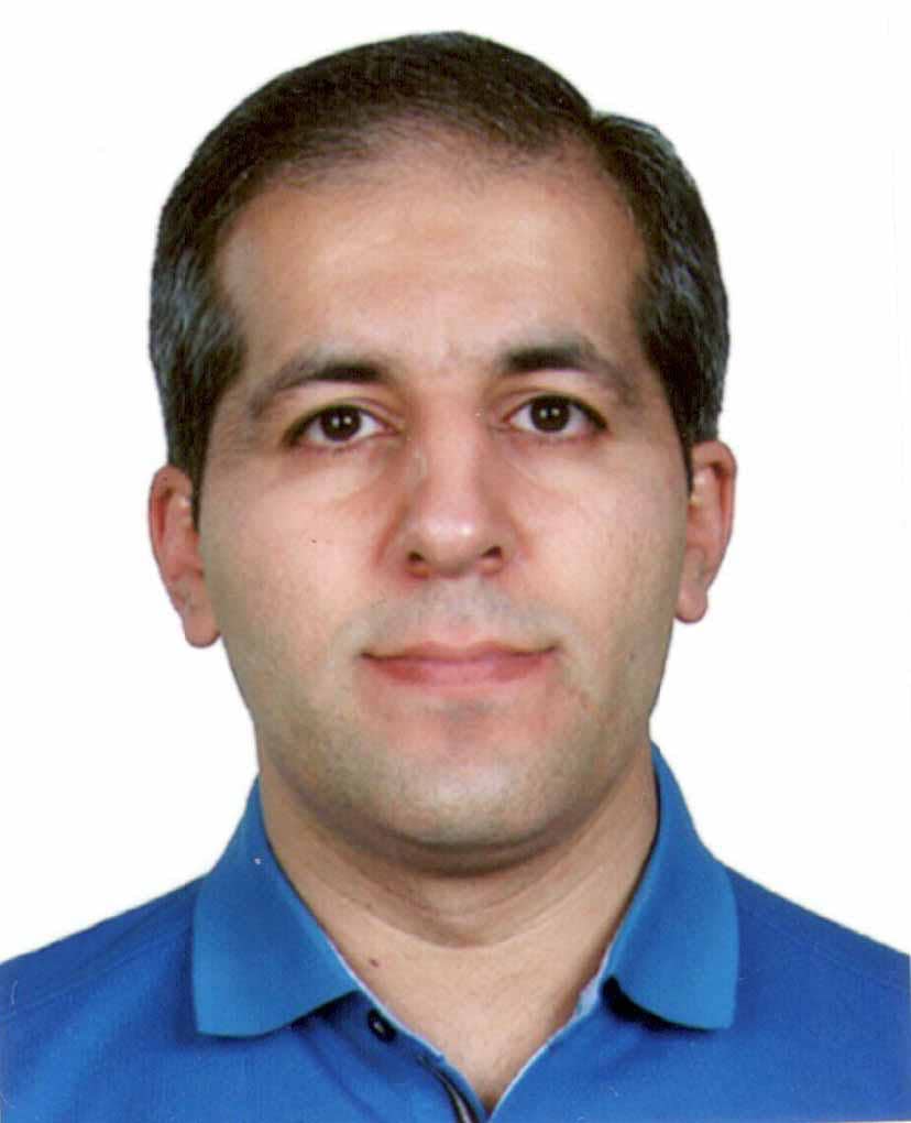 Hamed Hamishehkar (Ph.D.)